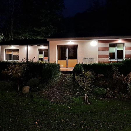 Ferienhaus Rehblick - Direkt In Der Natur, Mit Lesezimmer Und Zwei Terrassen Friedrichroda Εξωτερικό φωτογραφία
