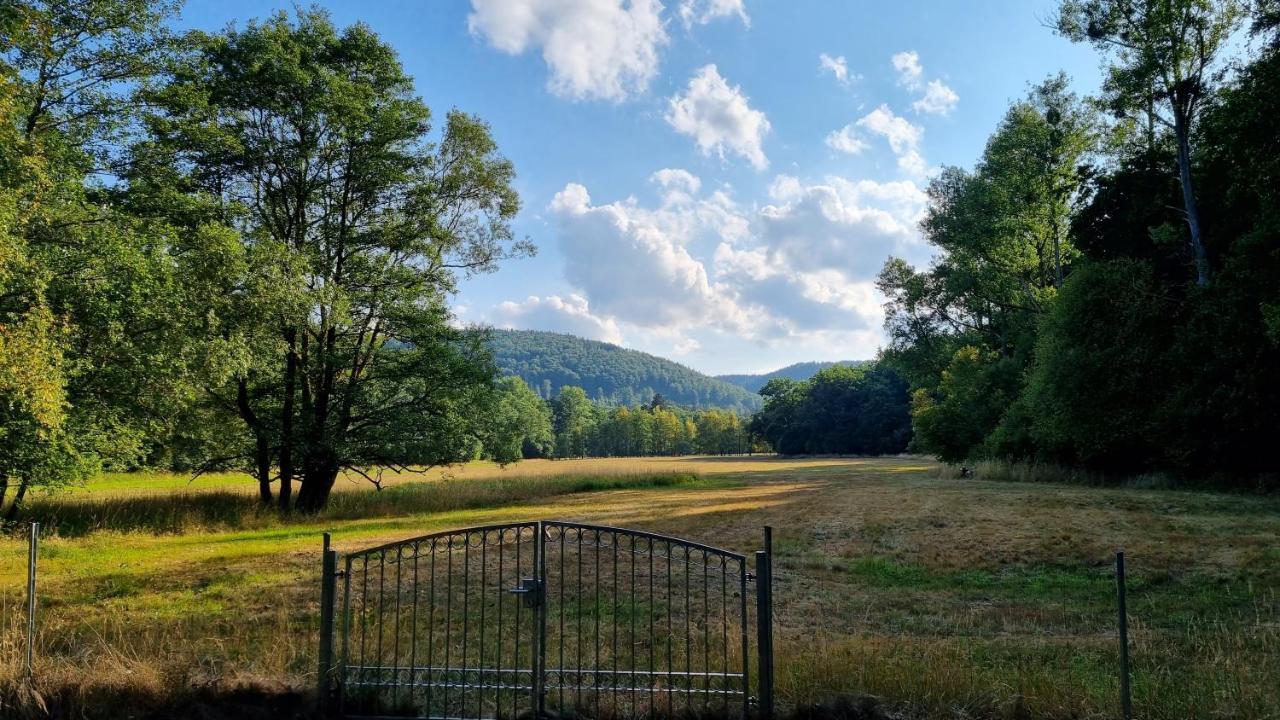 Ferienhaus Rehblick - Direkt In Der Natur, Mit Lesezimmer Und Zwei Terrassen Friedrichroda Εξωτερικό φωτογραφία