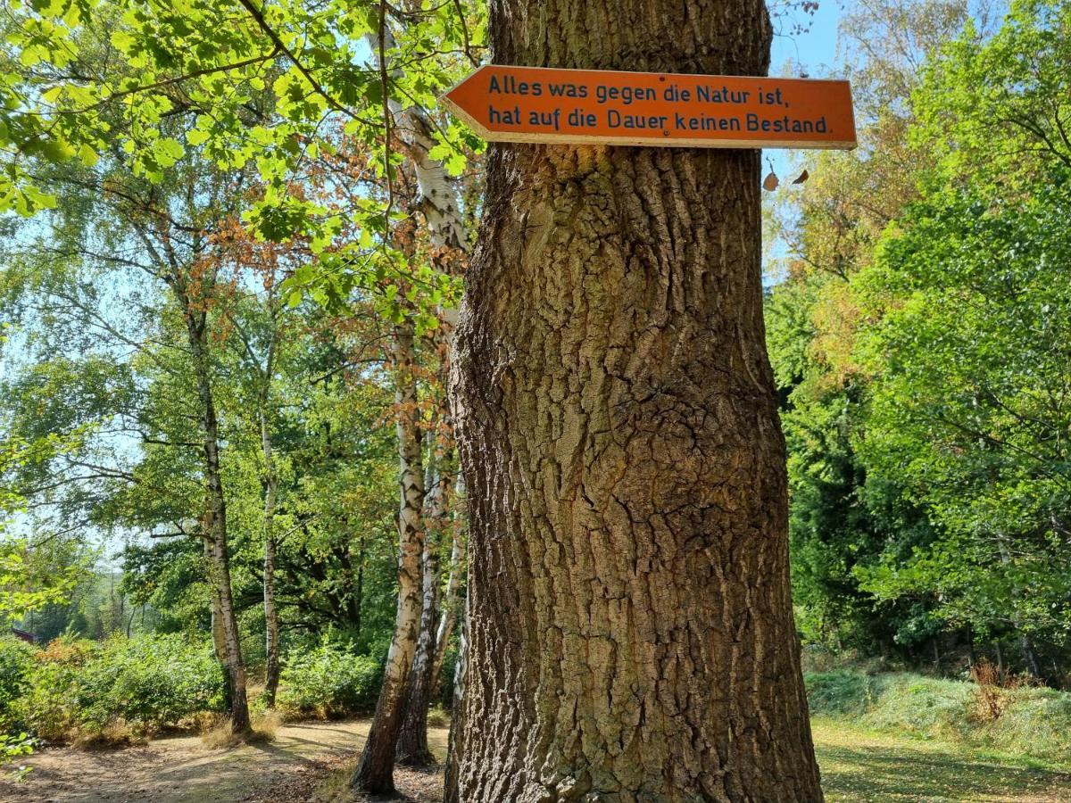 Ferienhaus Rehblick - Direkt In Der Natur, Mit Lesezimmer Und Zwei Terrassen Friedrichroda Εξωτερικό φωτογραφία