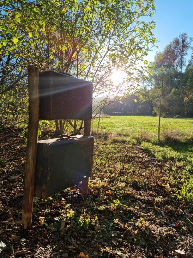 Ferienhaus Rehblick - Direkt In Der Natur, Mit Lesezimmer Und Zwei Terrassen Friedrichroda Εξωτερικό φωτογραφία