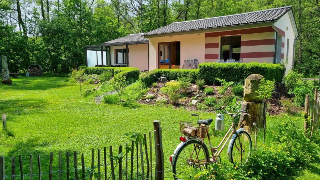 Ferienhaus Rehblick - Direkt In Der Natur, Mit Lesezimmer Und Zwei Terrassen Friedrichroda Εξωτερικό φωτογραφία
